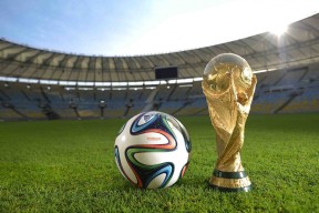 平台特色解析中mk sports的表现深度分析